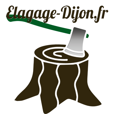 Élagage Dijon - Élagage Dijon